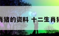 十二生肖猪的资料 十二生肖猪是什么