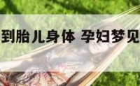 孕妇梦见摸到胎儿身体 孕妇梦见可以摸到胎宝宝的手脚