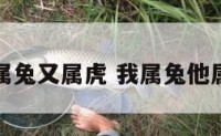 又属兔又属虎 我属兔他属虎