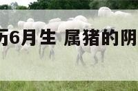 属猪宝宝阴历6月生 属猪的阴历6月出生是不是不好