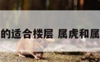属虎和属兔的适合楼层 属虎和属兔吉祥楼层