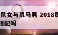 2018属鼠女与鼠马男 2018属鼠女与鼠马男相配吗