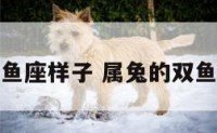 属兔双鱼座样子 属兔的双鱼女性格