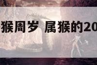 2017年属猴周岁 属猴的2017年的运气如何