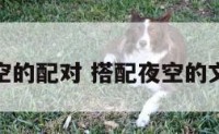夜空的配对 搭配夜空的文案
