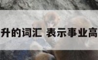 助事业高升的词汇 表示事业高升的成语