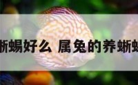 属兔的养蜥蜴好么 属兔的养蜥蜴好么女生