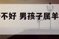 男孩属羊的好不好 男孩子属羊的跟什么相配啊