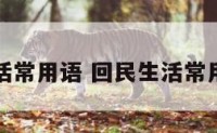 回民生活常用语 回民生活常用语大全