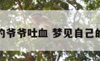 梦到健康的爷爷吐血 梦见自己的爷爷吐血