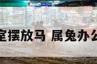 属兔的办公室摆放马 属兔办公室摆什么好