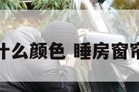 睡房窗帘用什么颜色 睡房窗帘什么颜色好