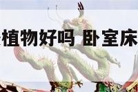 卧室床头放假植物好吗 卧室床头适合摆放假花吗