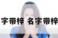 男明星名字带梓 名字带梓的女明星