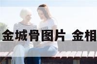 面相金城骨图片 金相面相