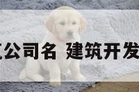 开发建筑公司名 建筑开发公司排名