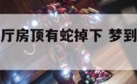 梦见浴室客厅房顶有蛇掉下 梦到一条蛇从房顶掉下来
