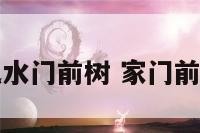 阳宅风水门前树 家门前风水树