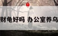 办公室养招财龟好吗 办公室养乌龟寓意什么