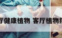客厅健康植物 客厅植物摆设