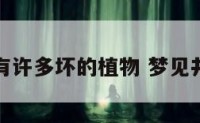 梦见井里有许多坏的植物 梦见井里有杂物