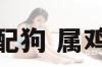 属鸡婚配配狗 属鸡和狗婚配