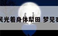 梦见农民光着身体犁田 梦见农民耕田