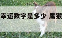 属羊属猴的幸运数字是多少 属猴属羊有打算猜生肖