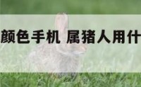 属猪适合的颜色手机 属猪人用什么颜色手机壳招财