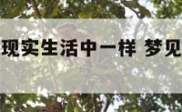 做梦梦见跟现实生活中一样 梦见和现实生活中一样的事