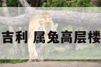 高层属兔几层吉利 属兔高层楼房住几层最好