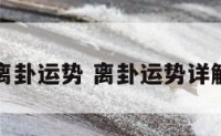 离卦运势 离卦运势详解
