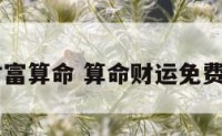 17财富算命 算命财运免费测试