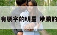 后面有鹏字的明星 带鹏的明星