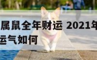 2021年属鼠全年财运 2021年属鼠的财运和运气如何