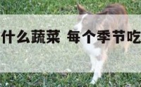 每个季节吃什么蔬菜 每个季节吃什么蔬菜对身体好