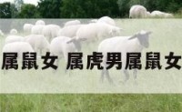 属虎男人属鼠女 属虎男属鼠女婚配好吗