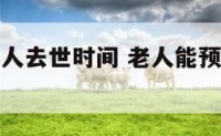 怎么预测老人去世时间 老人能预测自己什么时候过世吗