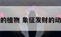 像征发财的植物 象征发财的动物是什么