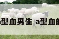 狮子座a型血男生 a型血的狮子男