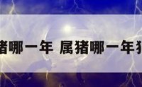 属猪哪一年 属猪哪一年犯冲
