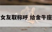 给金牛座的女友取称呼 给金牛座女生的备注