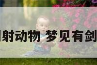梦见拿剑射动物 梦见有剑射向自己