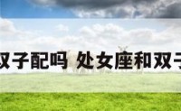 处女座和双子配吗 处女座和双子座的配对