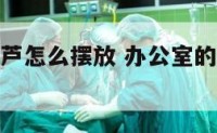 办公室的葫芦怎么摆放 办公室的葫芦怎么摆放图片