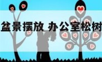 办公室松树盆景摆放 办公室松树盆景摆放风水