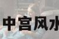 中宫风水颜色 中宫风水适合怎么摆放