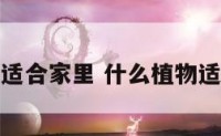 什么水植物适合家里 什么植物适合室内水养