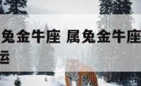 2019属兔金牛座 属兔金牛座2022年每月命运