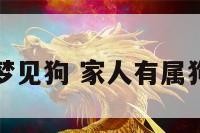 家人有属狗梦见狗 家人有属狗梦见狗死了